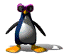 a penguin